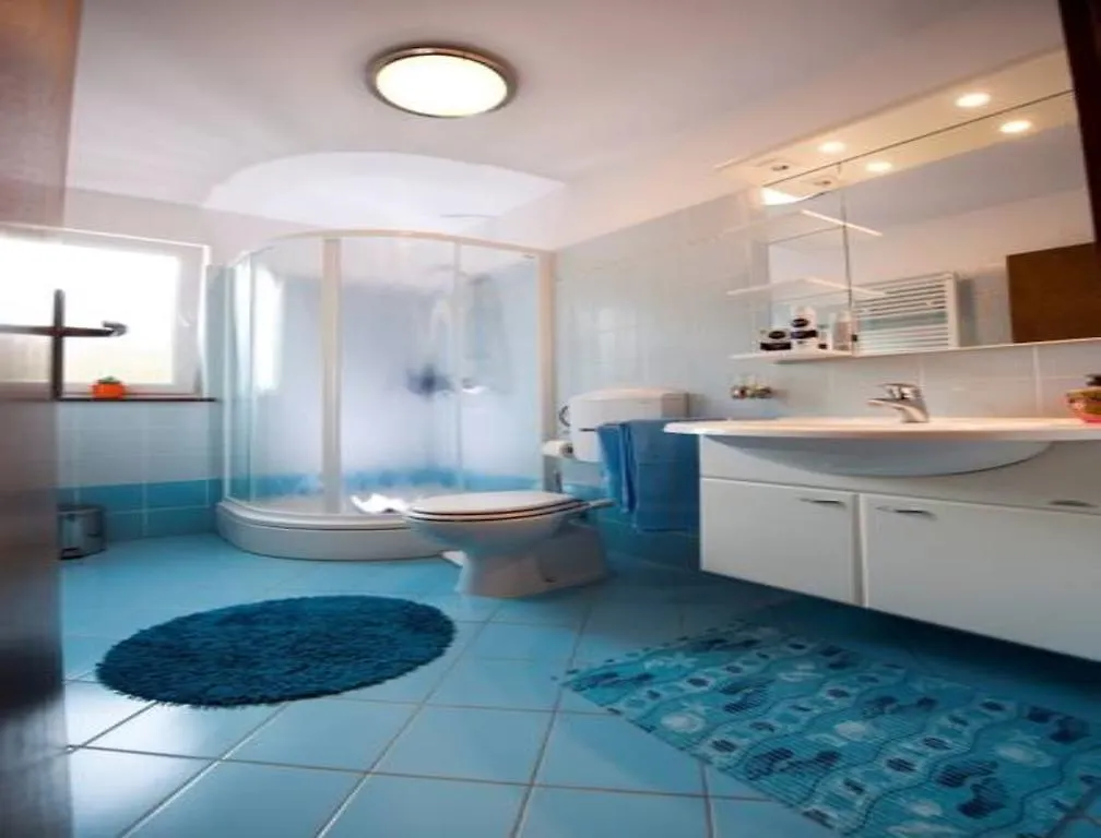 Apartments Davorka Rovinj 0*,